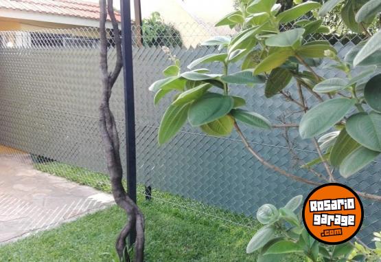 Hogar - 700 MICRONES- MEJORES DEL MERCADO CINTAS PARA CERCOS - En Venta