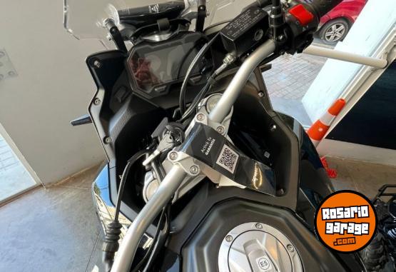 Motos - Voge 650 DS / DSX 2025 Nafta 0Km - En Venta