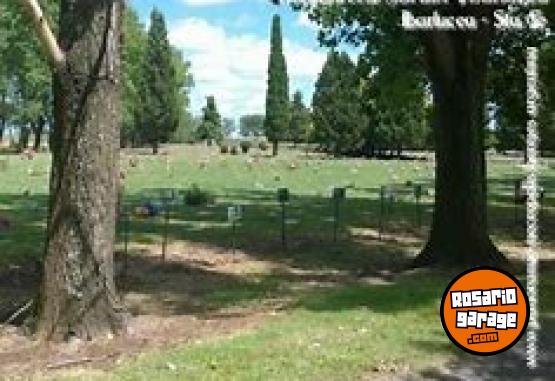 Otros - vendo parcela cementerio jardin Ibarlucea - En Venta