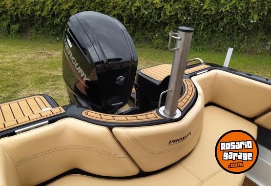 Embarcaciones - Promax 5300 Limited - Astillero Daniel Pagliettini C/ Motor a eleccin - En Venta