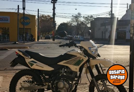 Motos - Motomel Skua 150 2024 Nafta 537Km - En Venta