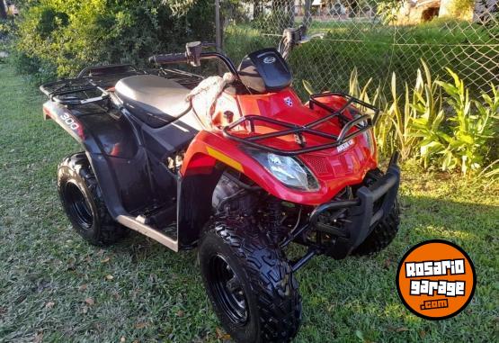 Cuatris y UTVs - Otra marca DVX PARRILLERO 2015  2850Km - En Venta