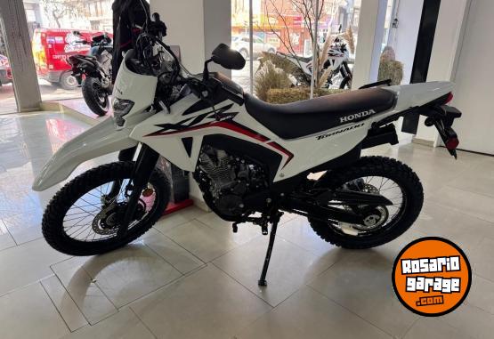 Motos - Honda HONDA XR 300 0KM 2025 Nafta 0Km - En Venta
