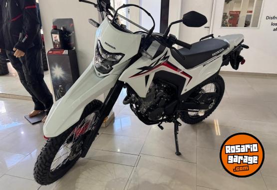 Motos - Honda HONDA XR 300 0KM 2025 Nafta 0Km - En Venta