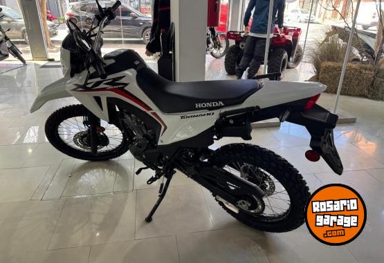 Motos - Honda HONDA XR 300 0KM 2025 Nafta 0Km - En Venta