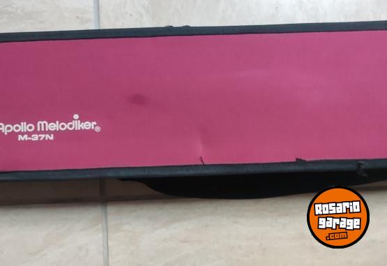 Instrumentos Musicales - Melodica - En Venta