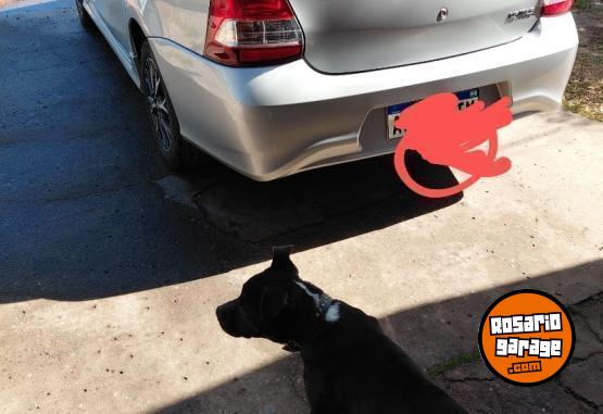 Autos - Toyota Etios xls 2022 Nafta 49000Km - En Venta