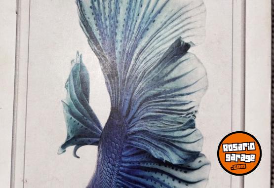 Telefona - Cajas vacas de iPhone 11 y 9  y airpods - En Venta