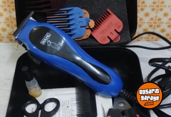 Otros - Cortadora de pelo - En Venta