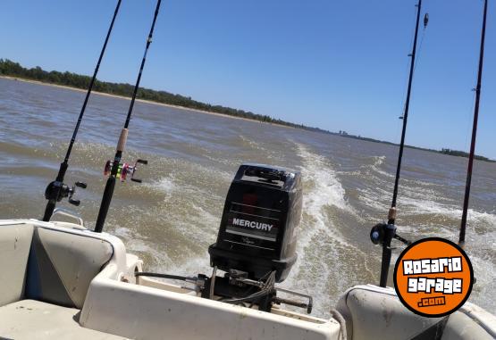 Embarcaciones - Mystic 460 Larsen Marine 40 HP Power Trim - En Venta