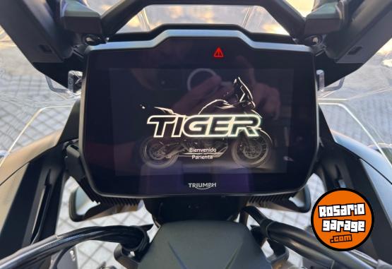 Motos - Triumph Tiger 1200 rally pro 2024 Nafta 600Km - En Venta