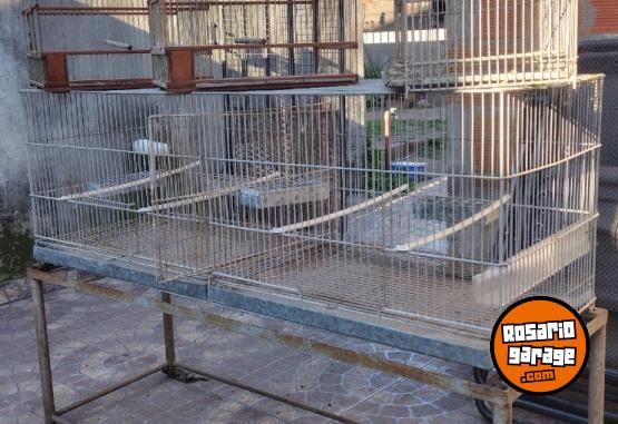 Otros - 4 Jaulas Voladoras + Otras + Accesorios - En Venta