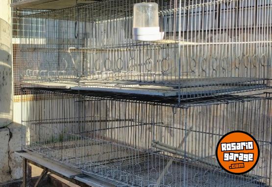 Otros - 4 Jaulas Voladoras + Otras + Accesorios - En Venta
