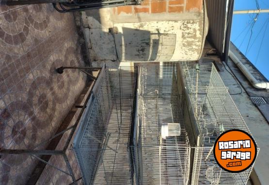 Otros - 4 Jaulas Voladoras + Otras + Accesorios - En Venta