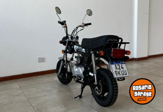Motos - Mondial Dax 70 2025 Nafta 600Km - En Venta