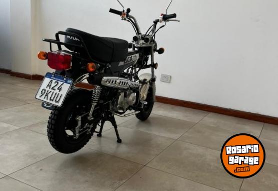 Motos - Mondial Dax 70 2025 Nafta 600Km - En Venta