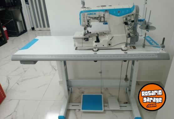 Hogar - Collareta Jack W4 - En Venta