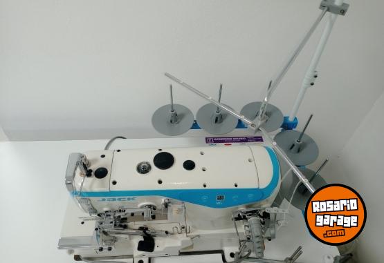 Hogar - Collareta Jack W4 - En Venta