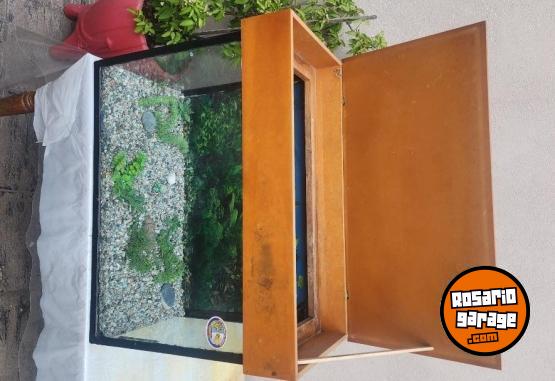 Hogar - Pecera - En Venta