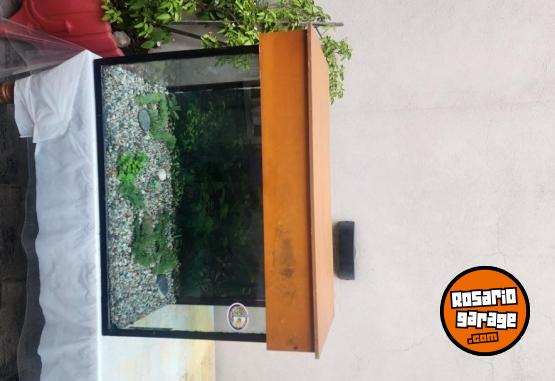 Hogar - Pecera - En Venta