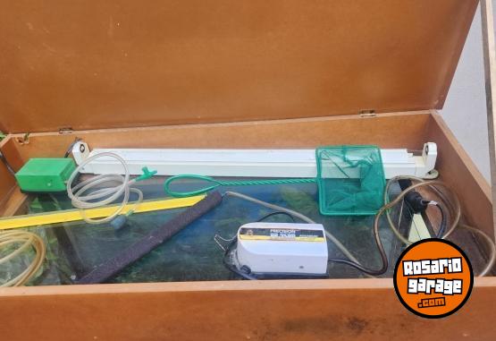 Hogar - Pecera - En Venta