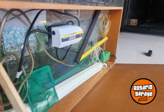 Hogar - Pecera - En Venta