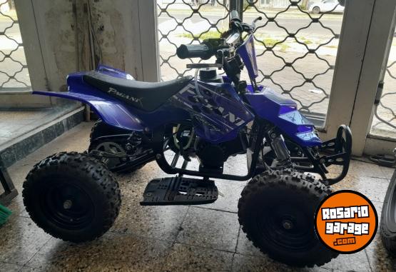 Cuatris y UTVs - Otra marca Pagani 2018 111Km - En Venta