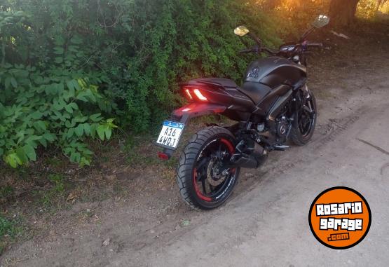 Motos - Bajaj Domira r 259 2022 Nafta 11000Km - En Venta