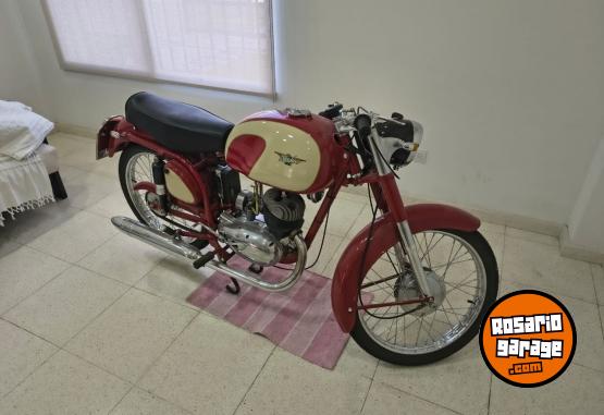 Clásicos - Alpino 175 - En Venta