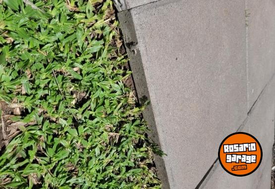 Otros - Losetas de cemento - En Venta