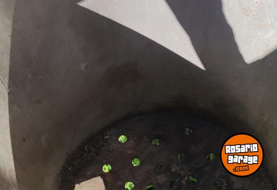 Otros - Cesto para basura - En Venta