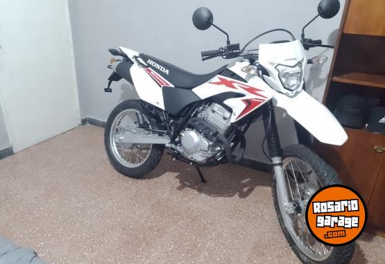 Motos - Honda Tornado 250 2024 Nafta 0Km - En Venta