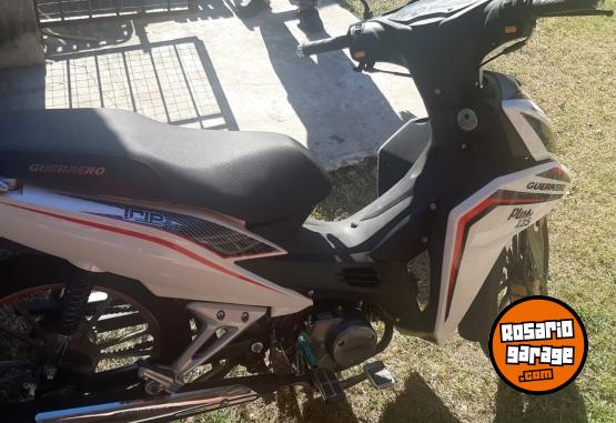 Motos - Guerrero Plus 2019 Nafta 83Km - En Venta