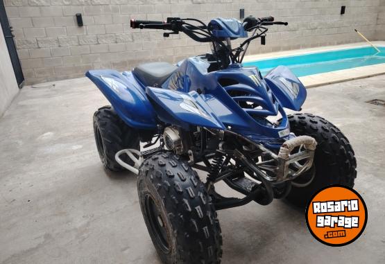 Cuatris y UTVs - Guerrero Mapuche 2010 111111Km - En Venta