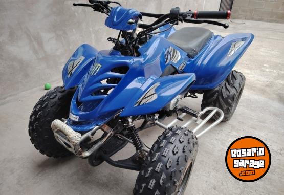 Cuatris y UTVs - Guerrero Mapuche 2010 111111Km - En Venta