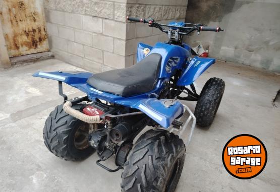 Cuatris y UTVs - Guerrero Mapuche 2010 111111Km - En Venta