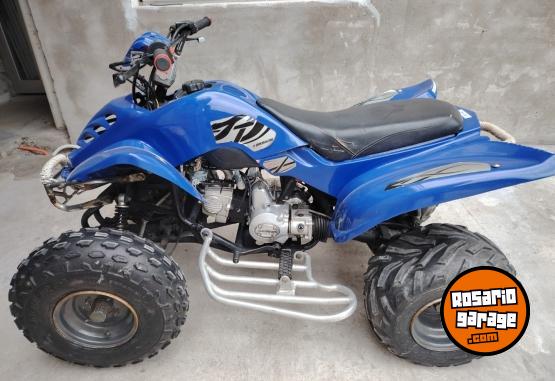 Cuatris y UTVs - Guerrero Mapuche 2010 111111Km - En Venta