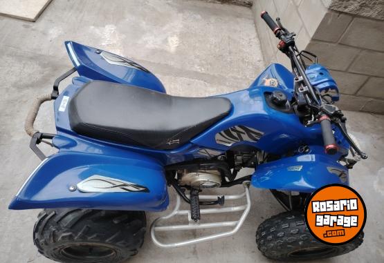 Cuatris y UTVs - Guerrero Mapuche 2010 111111Km - En Venta