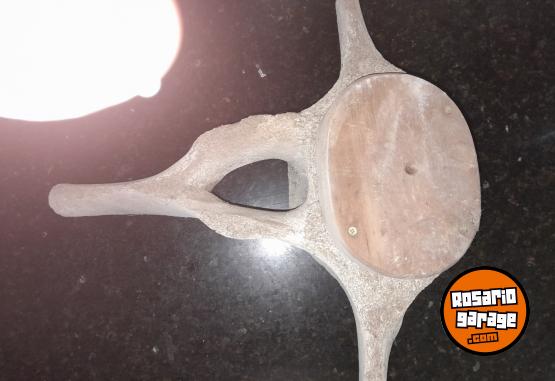 Otros - Fosil de ballena creo - En Venta