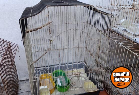 Otros - Jaulas canario conejos - En Venta