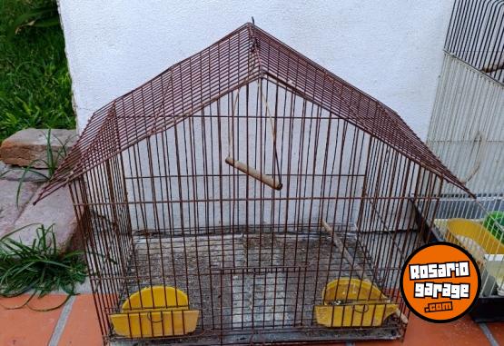 Otros - Jaulas canario conejos - En Venta