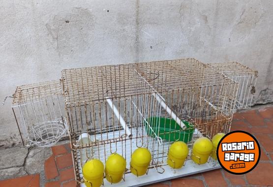 Otros - Jaulas canario conejos - En Venta