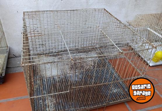 Otros - Jaulas canario conejos - En Venta
