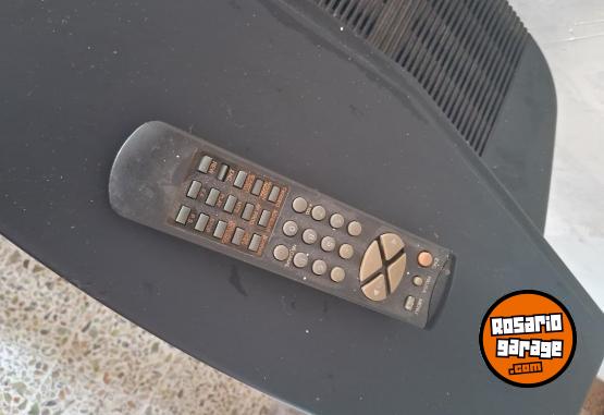 Hogar - TV color 21 pulagadas - En Venta