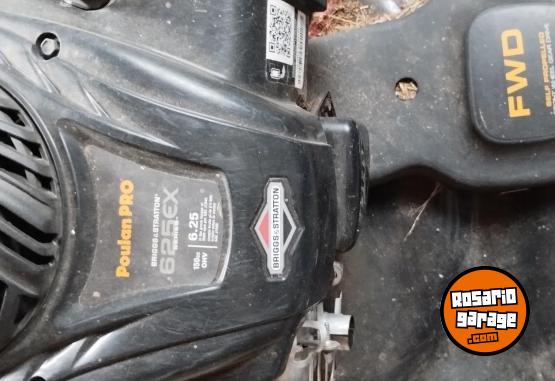 Herramientas - Cortadora de Pasto a explosión - En Venta