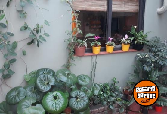 Hogar - VENTA PH EN ROSARIO. EXCELENRE ESTADO. OPORTUNIDAD UNICA - En Venta