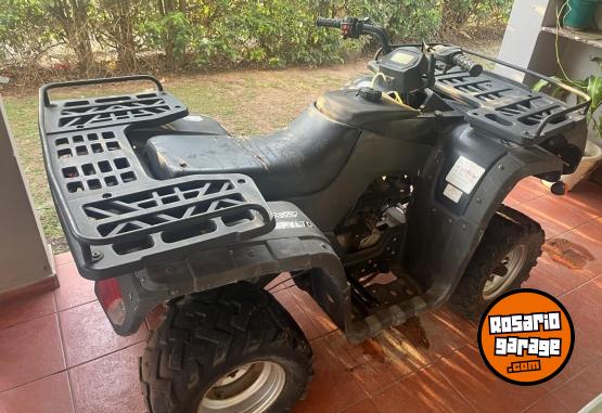 Cuatris y UTVs - Guerrero Mapuche 2012  4000Km - En Venta
