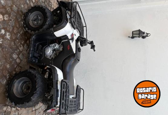 Cuatris y UTVs - Zanella Gforce 250 2016  120Km - En Venta