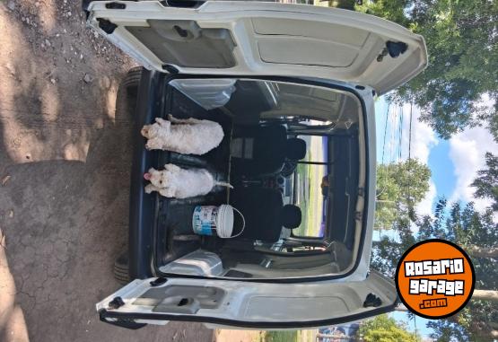 Utilitarios - Renault Kangoo 2007 Diesel 45000Km - En Venta