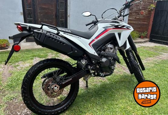 Motos - Honda Xr 300 2025 Nafta 0Km - En Venta
